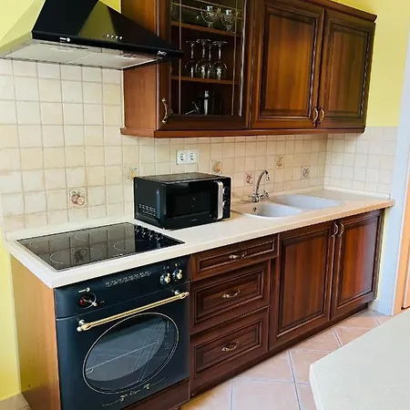 Apartament Elit Medences *